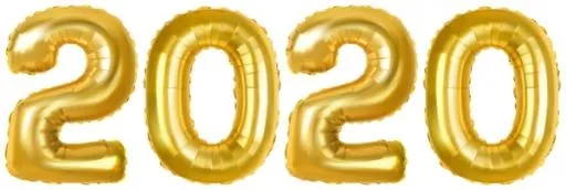 2020 年 PNG免抠(600x202)
