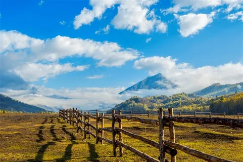 蓝天白云下的牧场 蓝天白云下的牧场