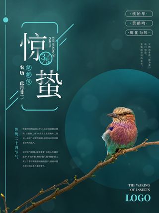 24二十四节气中国风创意惊蛰节日宣传海报模板PSD设计素材