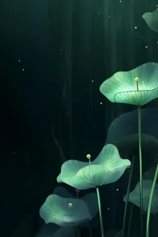 国风夜晚荷花荷叶大气背景