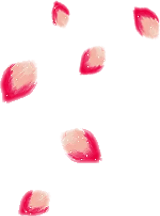 花瓣花朵免扣图片 