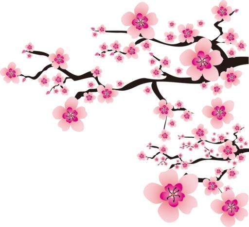 樱花 PNG免抠(700x641)