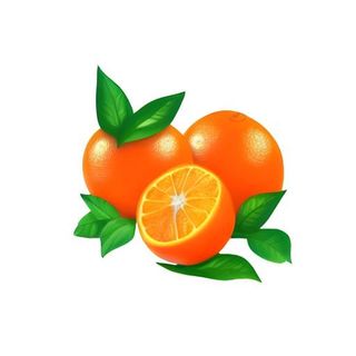 橘子橙子水果免抠