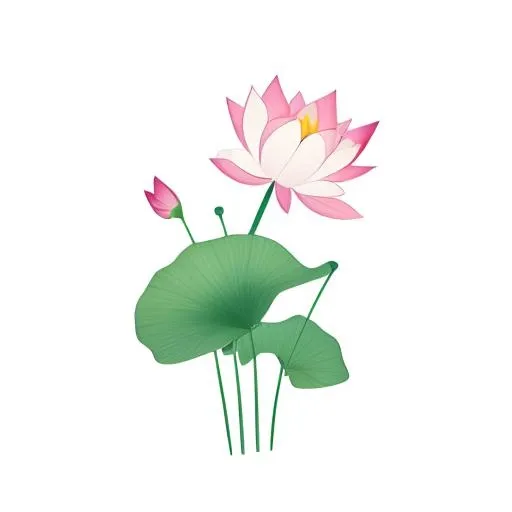 荷叶荷花莲蓬免抠(2048x2048)