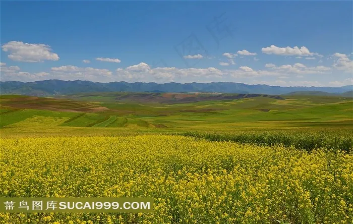 甘肃阿木去乎草原风景