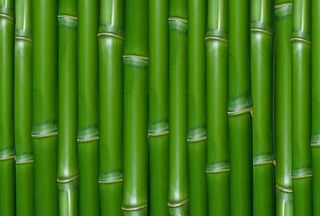 图片设计素材背景木质