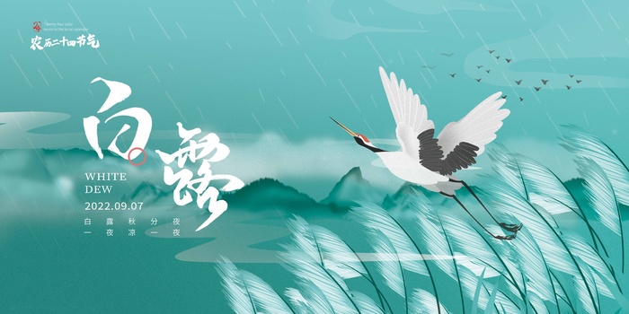 传统白露节气活动海报图片