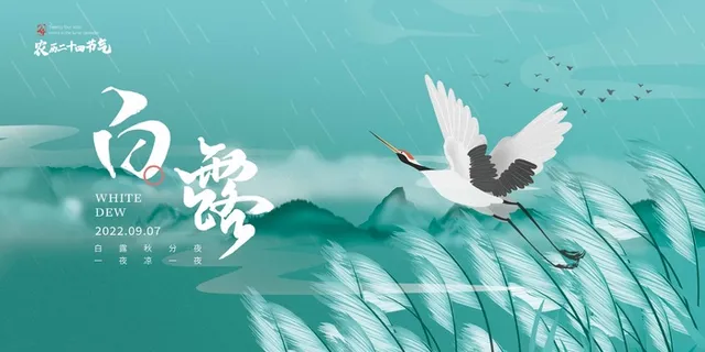 传统白露节气活动海报图片 传统白露节气活动海报图片