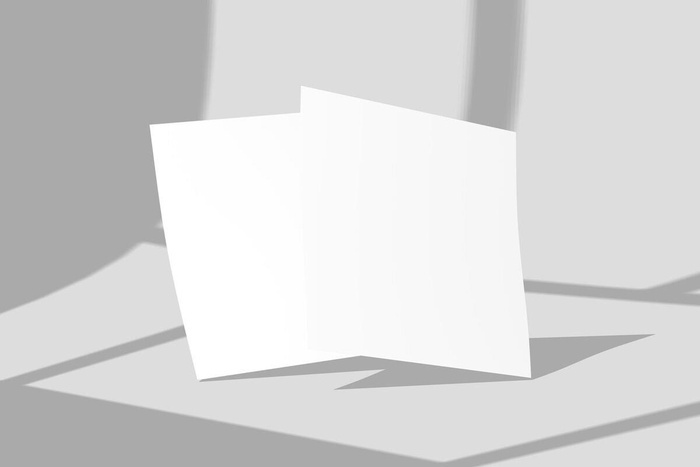 正反面黑白灰简约立体光影海报样机