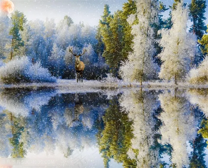 唯美冬季湖畔风光