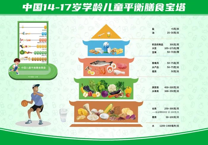 14-17岁学龄儿童膳食宝塔psd模版下载
