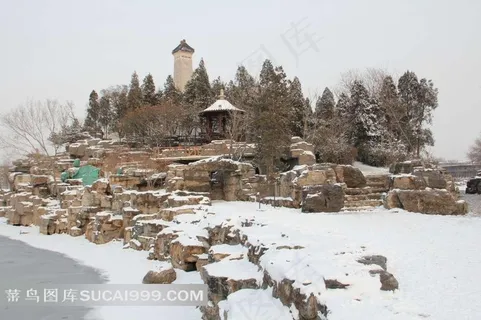 天津北宁公园雪景下载