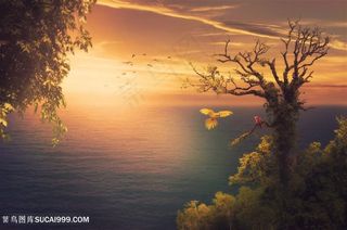 海边大树上的两只鹦鹉