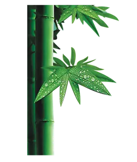 中国古风元素竹子