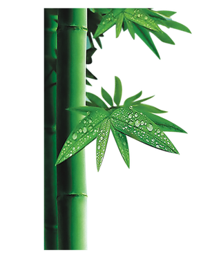 中国古风元素竹子