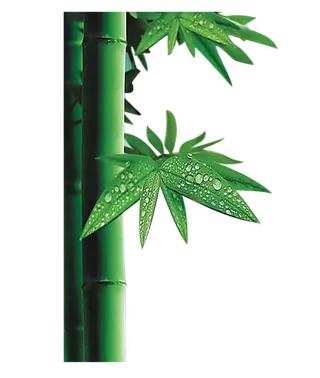 中国古风元素竹子