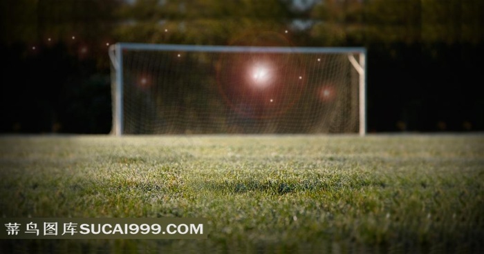带光环的梦幻足球场