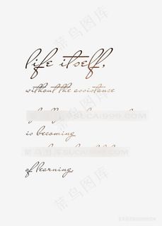 简约英文时尚插画