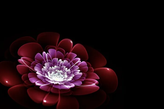 绚丽的3D立体花朵图