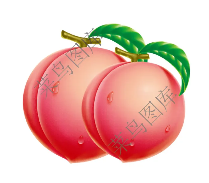 桃子高清图psd模版下载