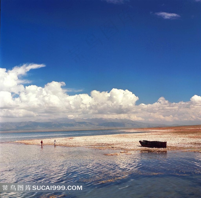 青海湖之夏图片素材