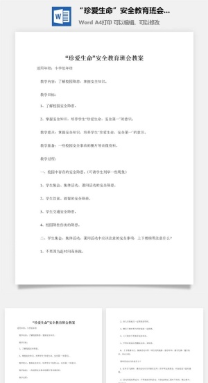 “珍爱生命”安全教育班会教案