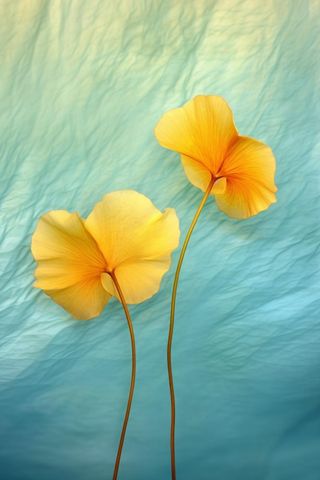 简约大气渐变落叶黄色秋叶背景