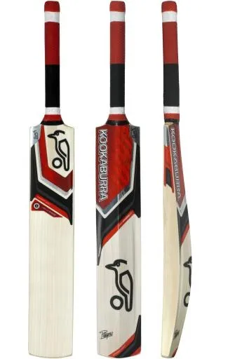 板球拍 PNG免抠(1299x1984)