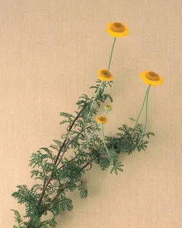 插花造型三二 插花造型三二