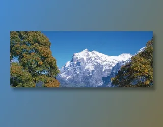 蓝天下树梢间的雪山