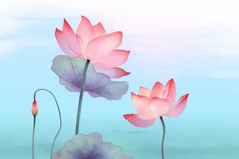 简约清新淡粉色荷花背景