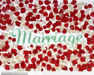 花瓣拼成的字样