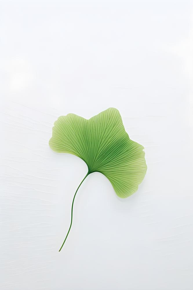 白底绿叶简约清新背景(2400x3600)