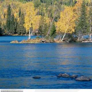 郊野风光-美丽的湖岸风光