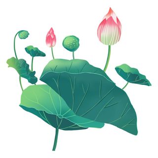 国潮中国风手绘荷花莲花荷叶莲藕植物花卉装饰插画PSD设计素材