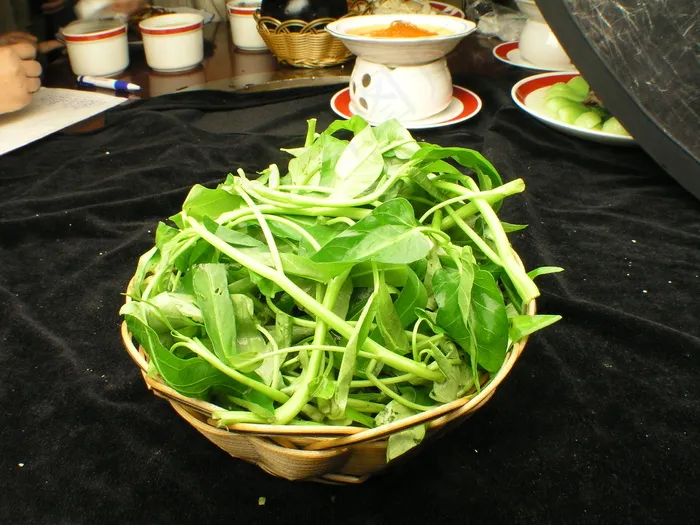 一空心菜 