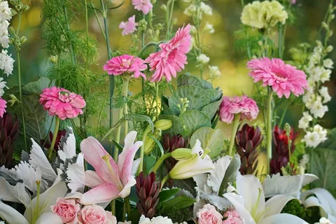 鲜花背景唯美图片 鲜花背景唯美图片