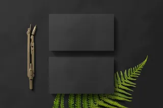 设计名片样机素材