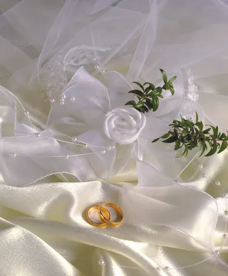 鲜花花束图片下载