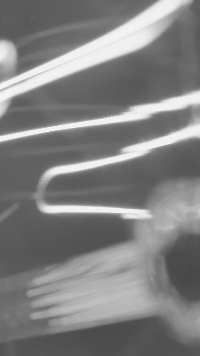 一个被点燃的灯泡的灯丝