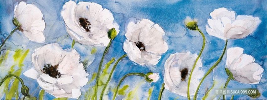 唯美花卉油画装饰画