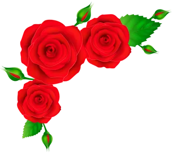 鲜花玫瑰免扣素材