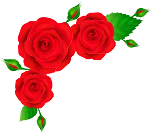 鲜花玫瑰免扣素材