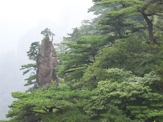 无限风光在险峰