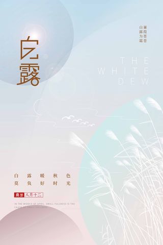 大气白露节气宣传促销图片