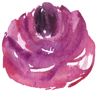 鲜花玫瑰免扣素材