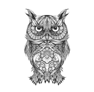线条猫头鹰