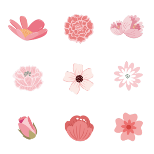 粉色春季花卉花朵元素插画