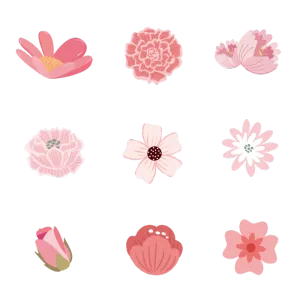 粉色春季花卉花朵元素插画