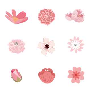 粉色春季花卉花朵元素插画